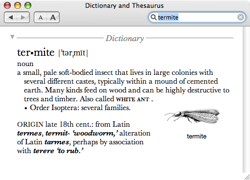 Termite Dictionary